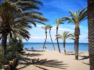 Medusa dos mares - 7