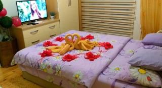 Apartmani GS ***** Zavidovici - Zavidovići - 3
