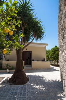 Liza's Place - - 6
