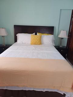 Embassy deluxe 2 - Kingston - 8
