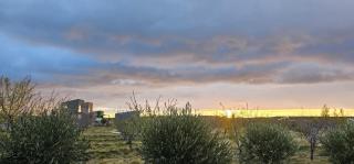 Les oliviers - Puerto Madryn - 6