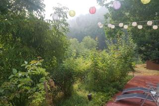 Country house surrounded by nature - 3