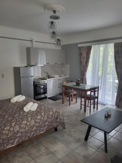 DIMITRA STUDIOS - Lefkada - 8
