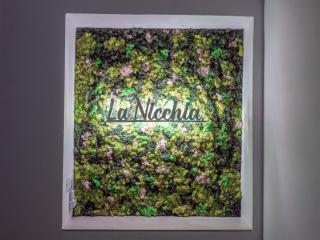 LA NICCHIA - 9