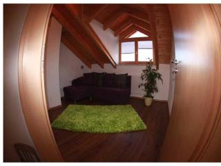 Ferienwohnung Mühl - Zwiesel - 7