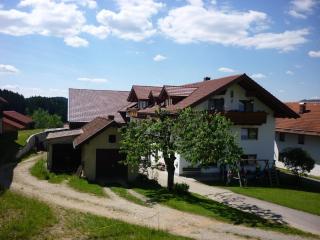 Ferienwohnung Mühl - Zwiesel - 4
