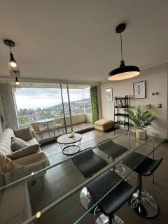 Cómodo y recien remodelado - Viña del Mar - 9