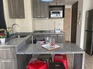 Acogedor Departamento para Cuatro Huéspedes - Santiago - 3
