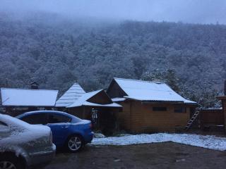 Pryvatna sadyba Svitanok - 9