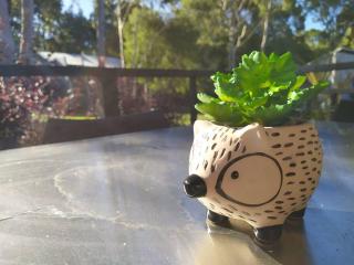 Reuben's Retreat - Margaret River - 1