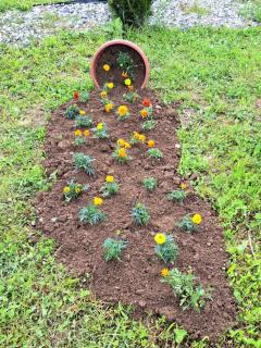 Bungalovi Mihajlo & Miloš - 3