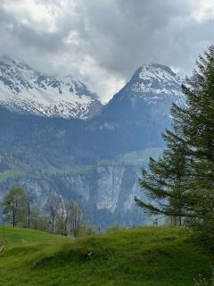 3-Bedrooms Apartment in a Chalet - Meiringen - 6