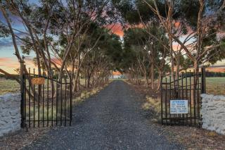 Space and Privacy near Airport, Groups Friendly - 9