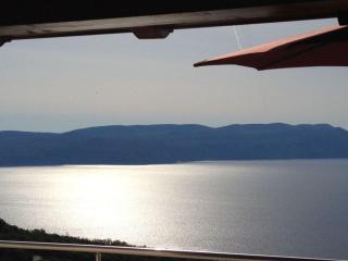 Mali-Kosi Comfortable holiday residence - Vicani - 2