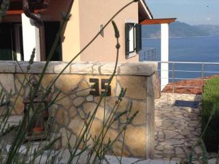 Mali-Kosi Comfortable holiday residence - Vicani - 0