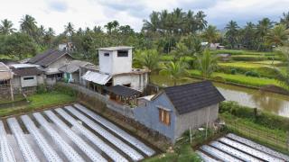 Dira Bungalows - Tetebatu - 7