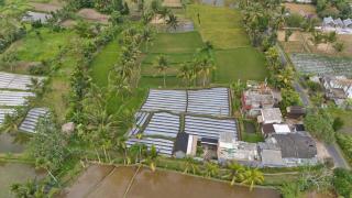 Dira Bungalows - Tetebatu - 6