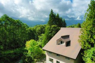 Hotel Bauhinia ホテルバウヒニア - Shinano - 8