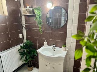FLH - Transylvania home - Sibiu - 4