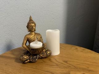 FLH - Transylvania home - 5