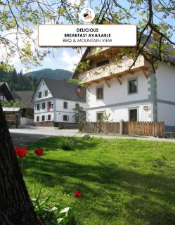 Ana Antloga Apartments - Bled - 0