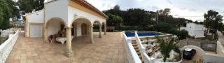 Mirlos - Jávea - 6