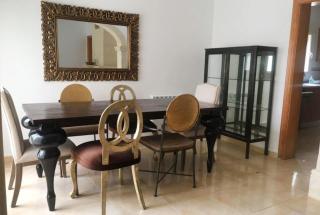 Mirlos - Jávea - 1