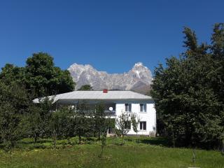Guest House Vivaushba - Bagvdanari - 9
