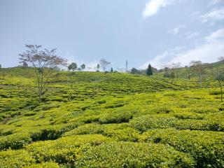 Mukhia's HomeStay Amayras - Darjeeling - 0