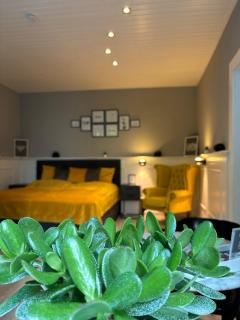 Urban-Elegance Silent-Garden - Wenen - 0