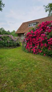 Holiday Home Countryside, Langbroek / Doorn - Doorn - 4