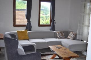 Trabzon green valley villa - 4