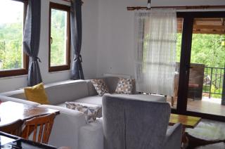 Trabzon green valley villa - 7