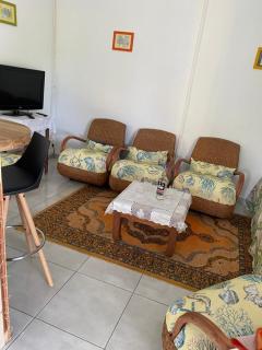 Coquillages des îles et ti-sicrier - 0