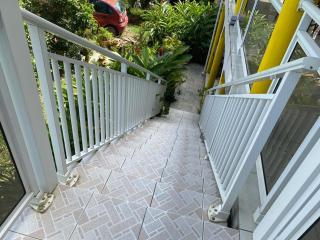 Coquillages des îles et ti-sicrier - 9