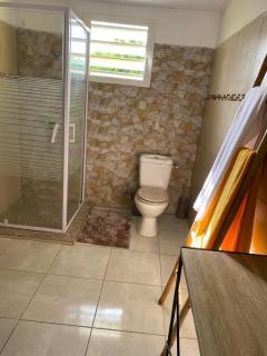 Coquillages des îles et ti-sicrier - 7