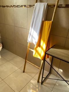 Coquillages des îles et ti-sicrier - 6