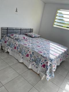 Coquillages des îles et ti-sicrier - 5