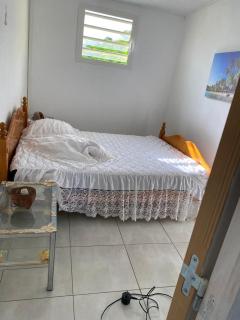 Coquillages des îles et ti-sicrier - 4