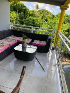 Coquillages des îles et ti-sicrier - 3