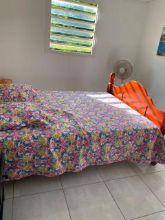 Coquillages des îles et ti-sicrier - 1