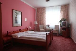 Hotel Solaster Garni - Třebíč - 9