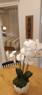 The roots of Parthenon - Athen - 7