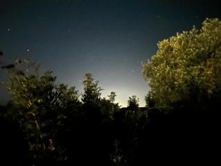 Glamping San Bart - San Vincenzo - 4