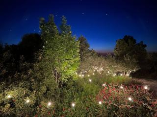 Glamping San Bart - San Vincenzo - 7