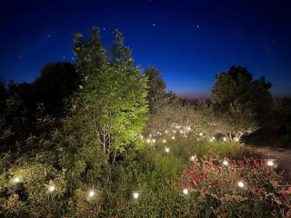 Glamping San Bart - San Vincenzo - 9