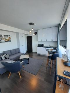 Klaipėda city panoramic view - 6