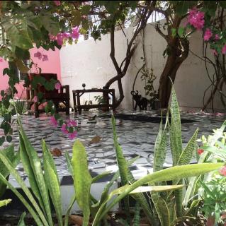 Arijaana Guesthouse - 4