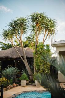 Addo Alkham Lodge - 2