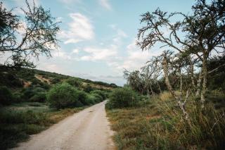 Addo Alkham Lodge - Sunland - 6
